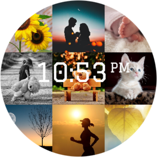 Face Gallery Pro